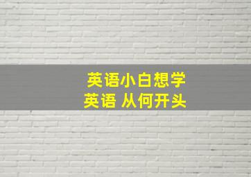 英语小白想学英语 从何开头